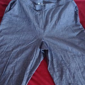 Samantha Grey Women Slacks (Blue)